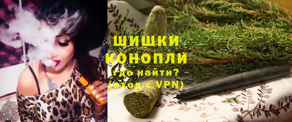 шишки Аркадак
