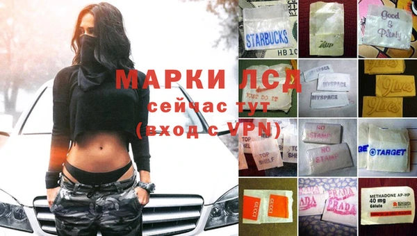 стаф Балахна