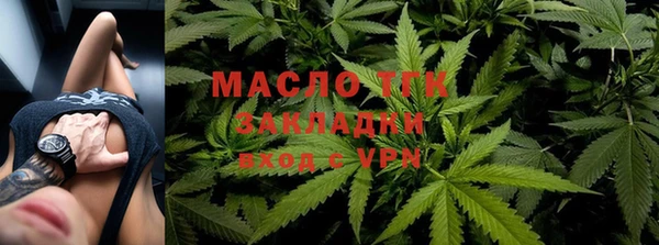 шишки Аркадак