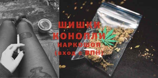 стаф Балахна