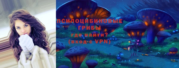 стаф Балахна