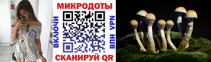 купить   Никольское  Галлюциногенные грибы Magic Shrooms 